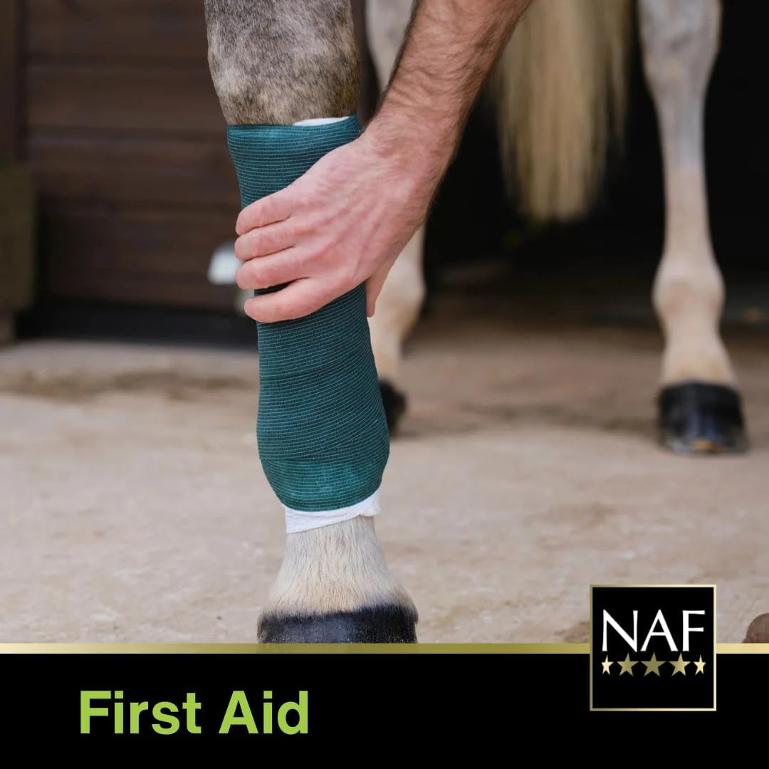 Naturalintx Hoof Poultice – Single Use Dressing for Horses – Supports Abscess Recovery, Inflammation & Hoof Injury Care – Can Be Used Wet or Dry