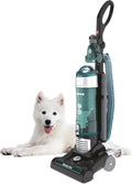 TH31B002001 Breeze Evo Bagless Pets Upright Vacuum Cleaner, 18/8 Stainless Steel, 850 W, 3 Liters, Black/Turquoise
