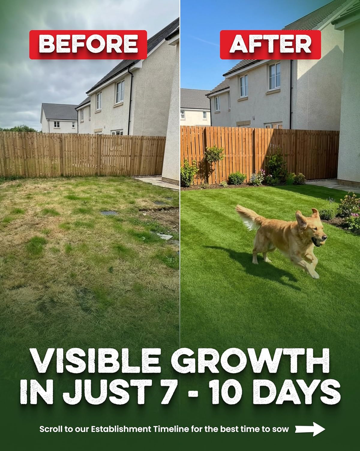 Fast Growing Grass Seed – 1.70KG Premium Quality Lawn Seed for Overseeding & New Lawns – Hard Wearing & Pet Friendly - Perfect for UK Lawns - Winter & Defra Approved